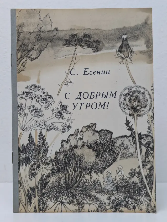 Школьная библиотека. С добрым утром!