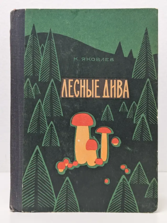 Лесные дива