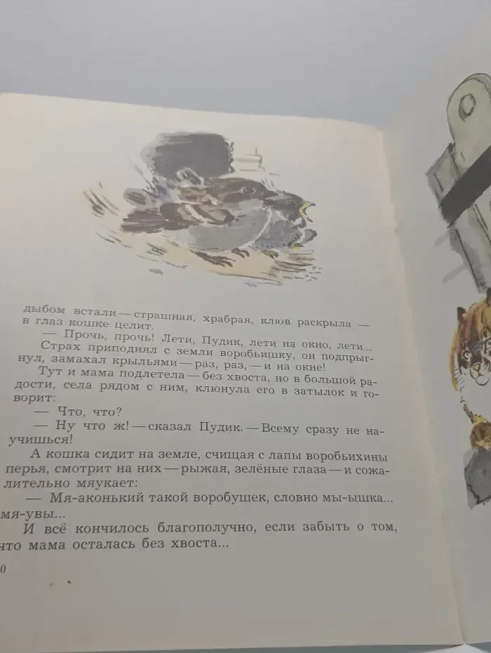 Библиотека детского сада. Воробьишко
