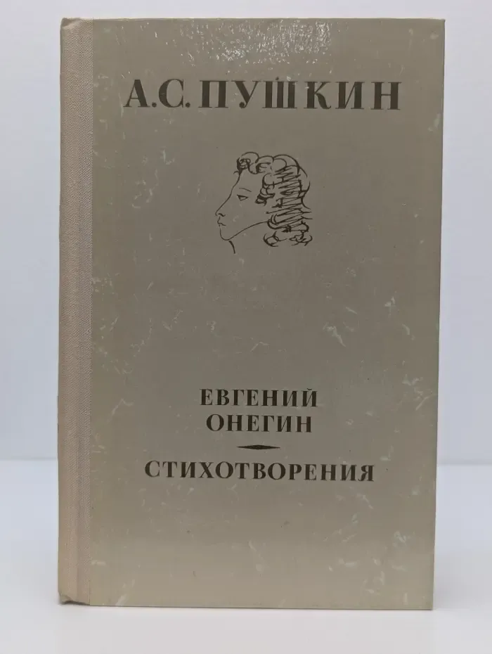 Школьная библиотека. Евгений Онегин. Стихотворения