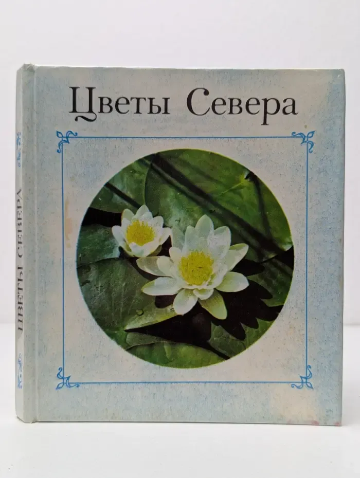Цветы Севера