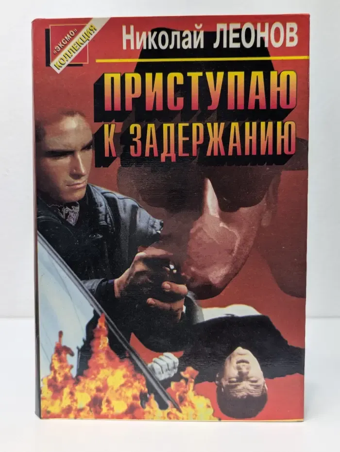 Черная кошк. Приступаю к задержанию