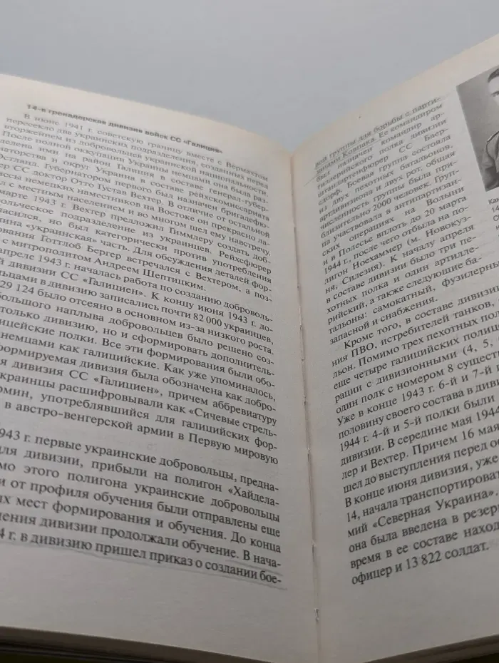 Солдат Третьего Рейха. Войска СС: история, структура, боевое применение