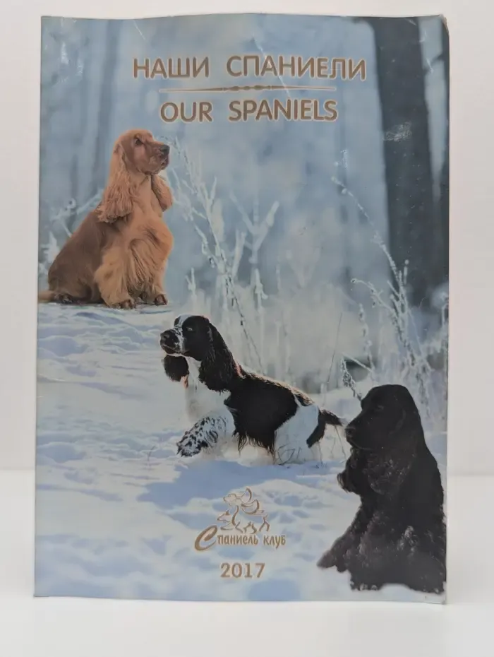 Наши спаниели.  Our Spaniels
