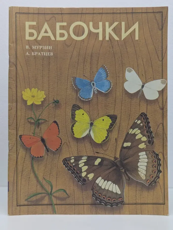 Бабочки