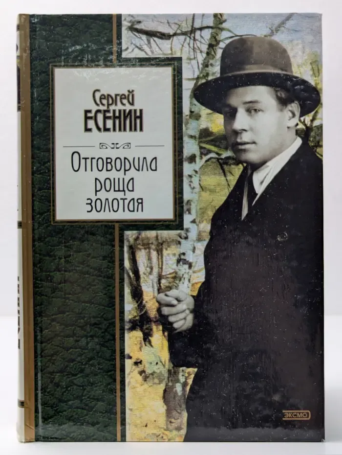 Золотая серия поэзии. Отговорила роща золотая