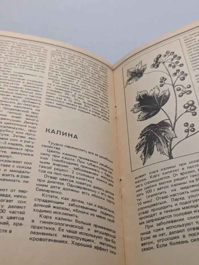 Домашняя аптека. Советы народного целителя