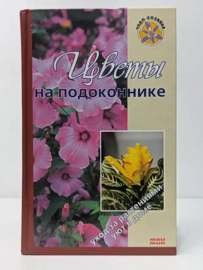 Чудо-хозяйка. Цветы на подоконнике