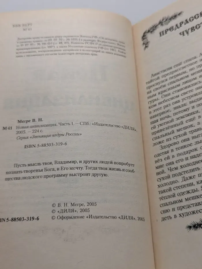 Звенящие кедры России. Новая цивилизация. Книга 8. Часть 1