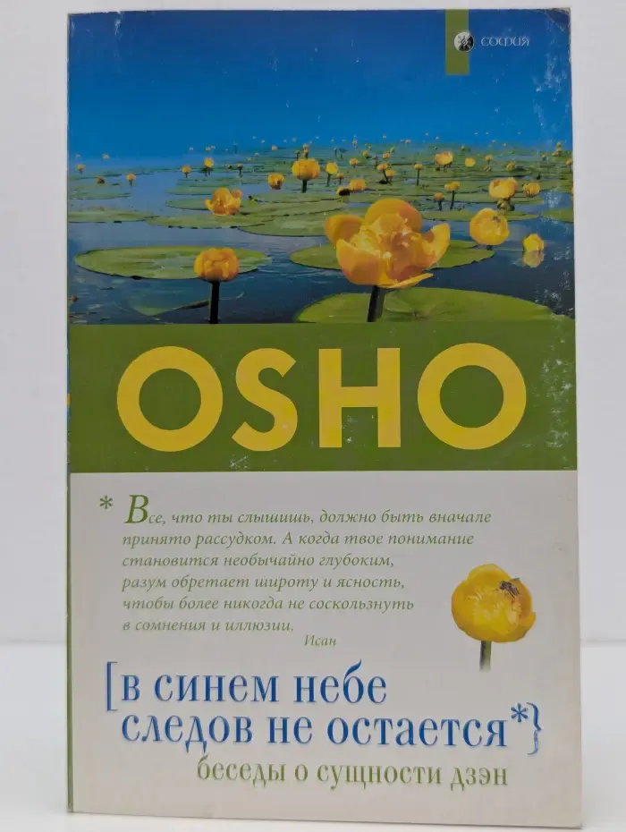 В синем небе следов не остается. Беседы о сущности дзэн