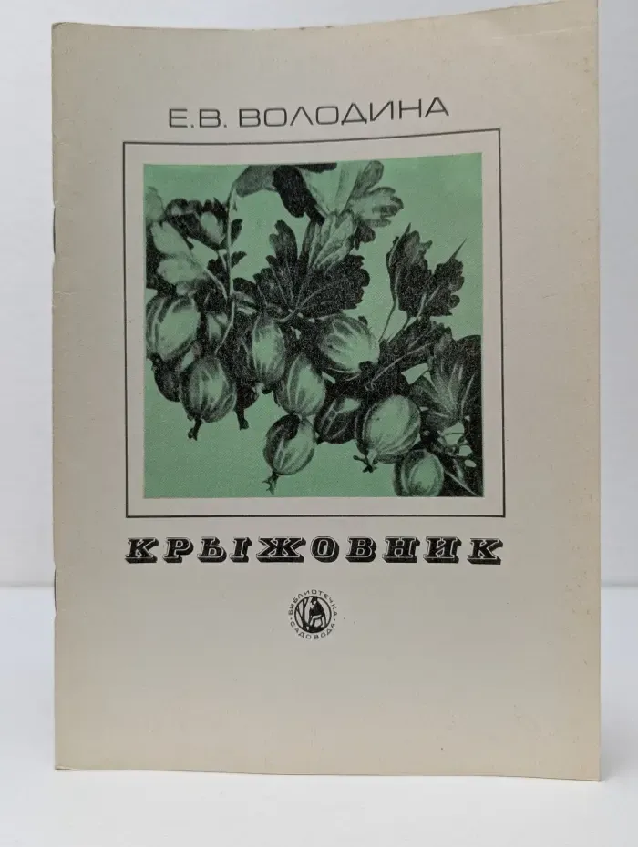 Крыжовник