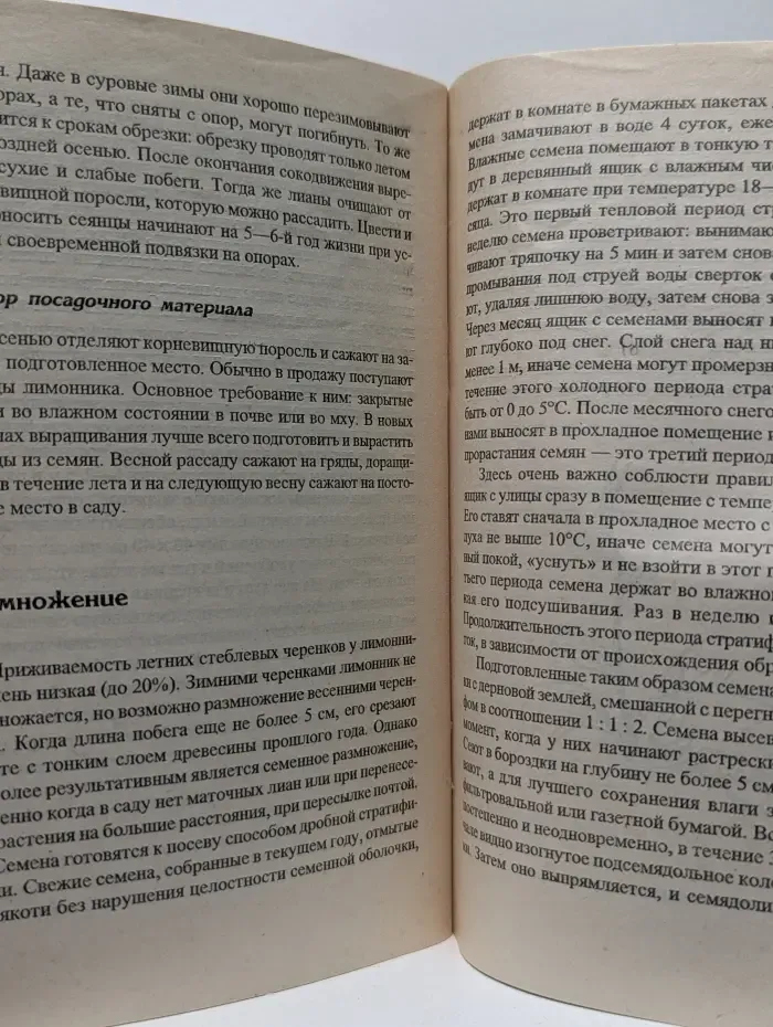 Цветы и кустарники. Актинидия и лимонник