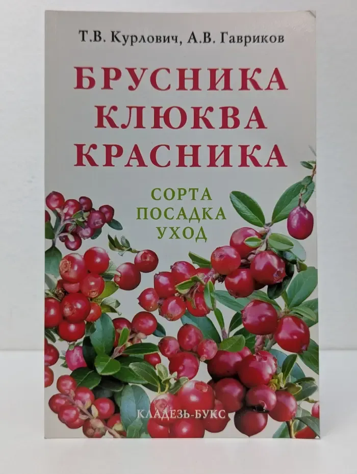 Брусника, клюква, красника. Сорта, посадка, уход