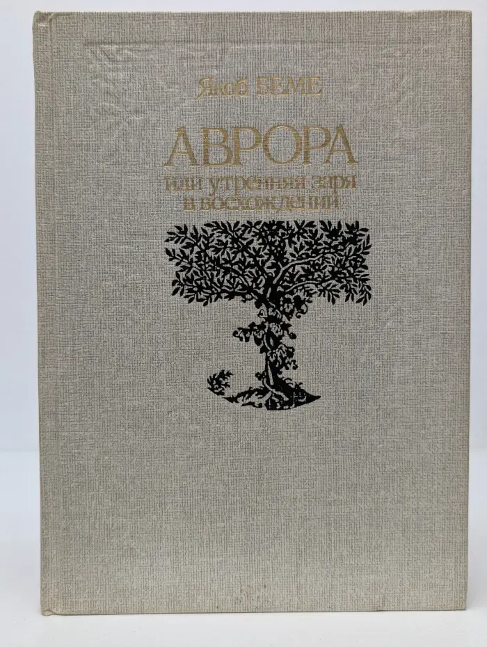 Аврора, или Утренняя заря в восхождении
