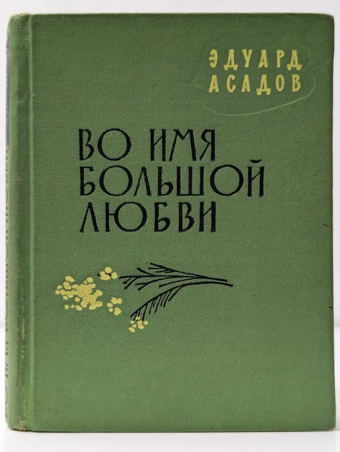 Во имя большой любви