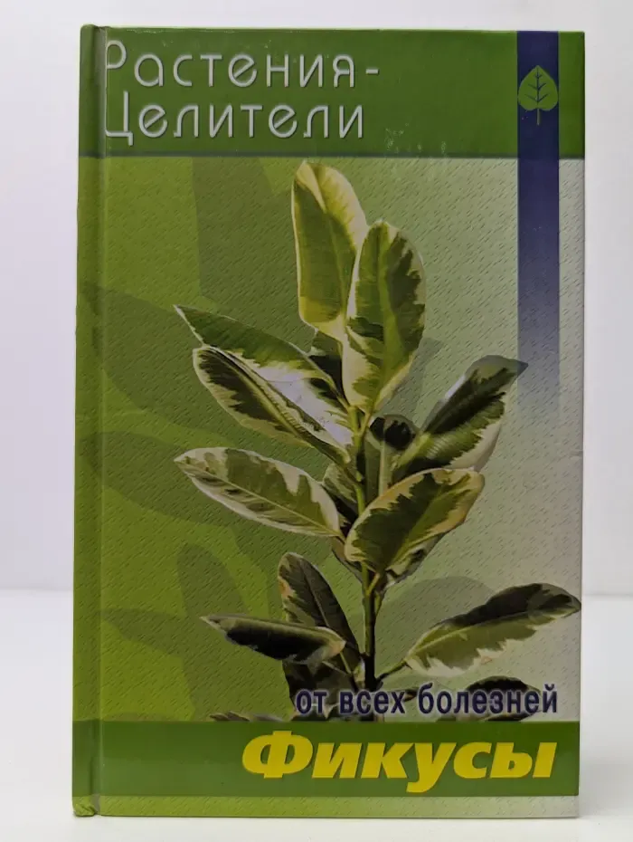 Расстения-целители от всех болезней. Фикусы