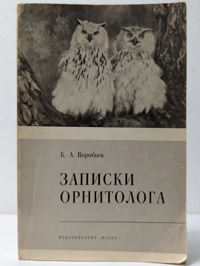 Записки орнитолога
