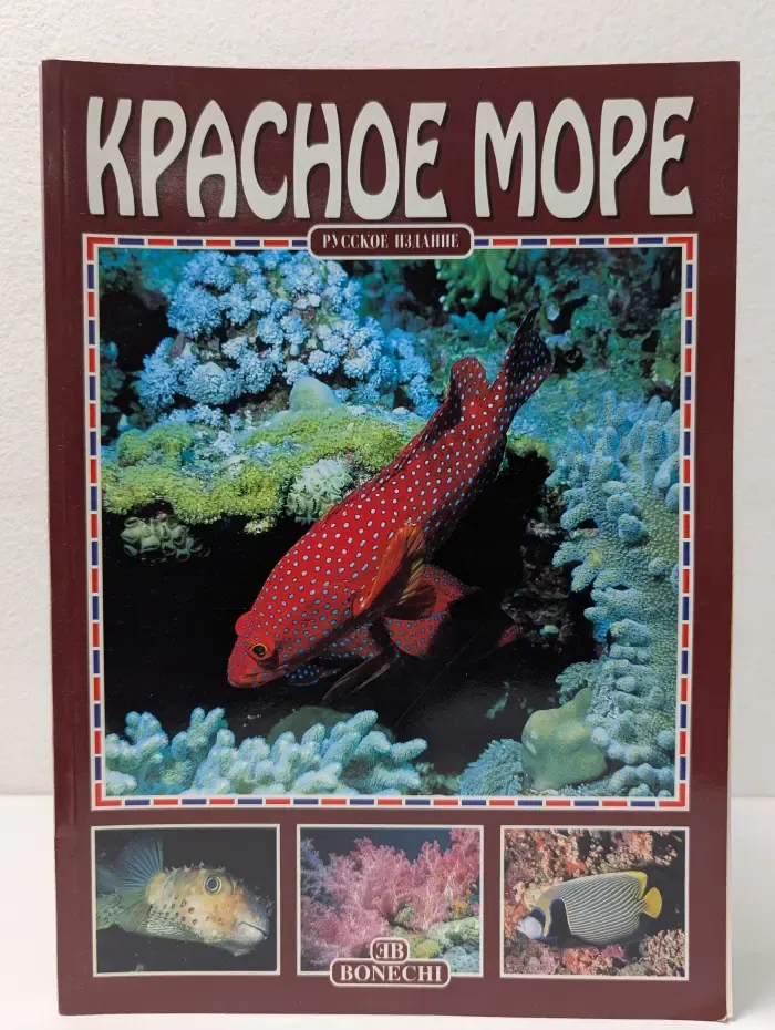 Чудеса подводного мира. Красное море