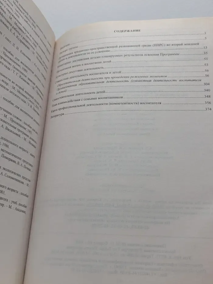 Рабочие программы в ДОУ. Рабочая программа воспитателя. Ежедневное планирование