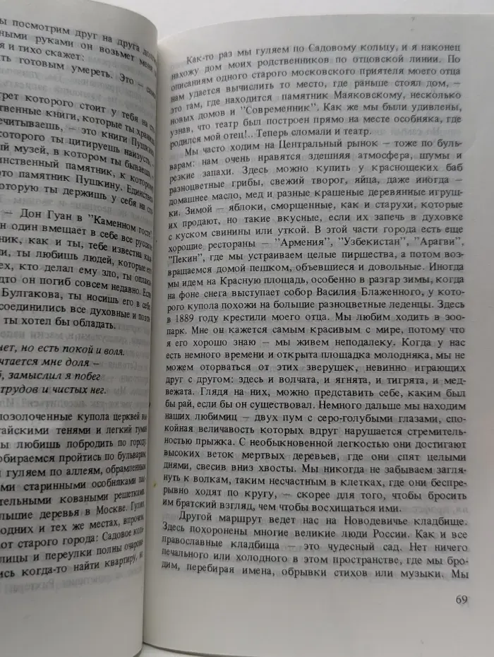Владимир, или Прерванный полет