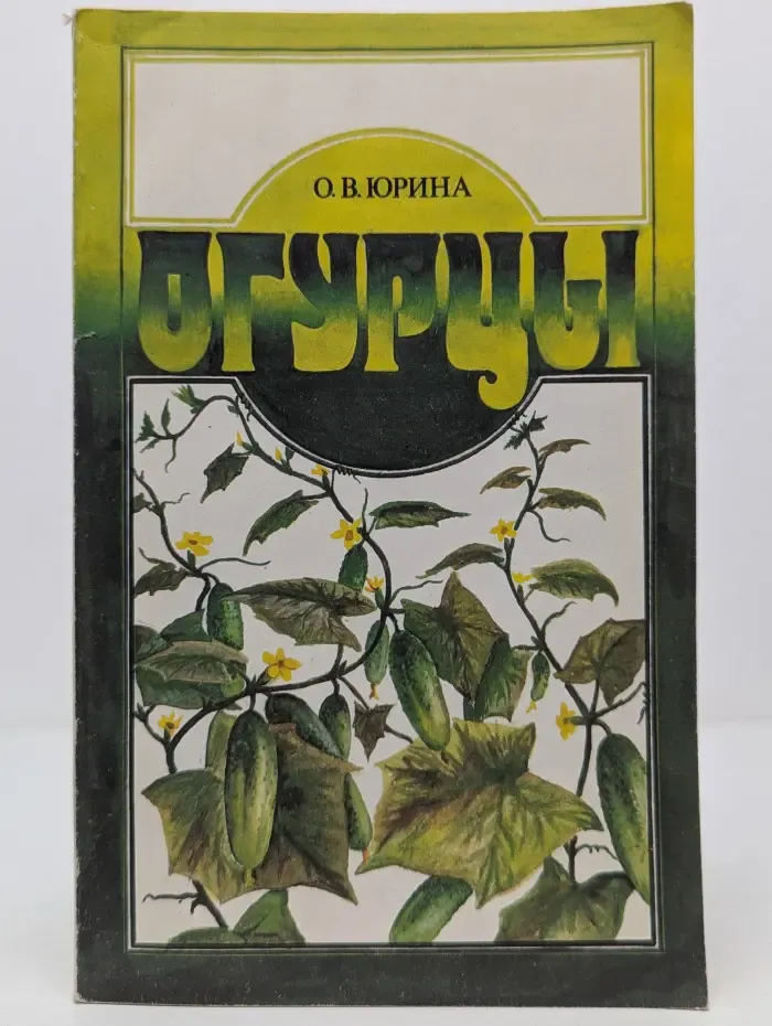 Огурцы