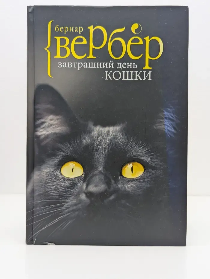 Завтрашний день кошки