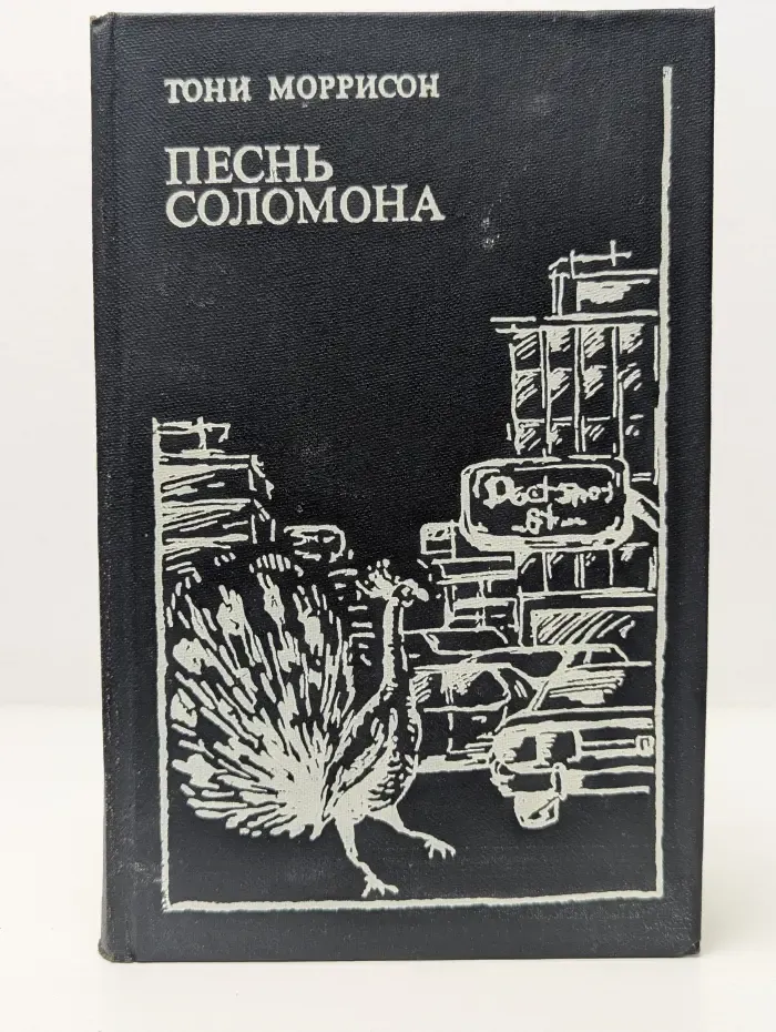 Песнь Соломона
