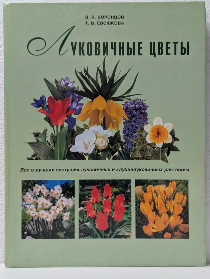 Луковичные цветы