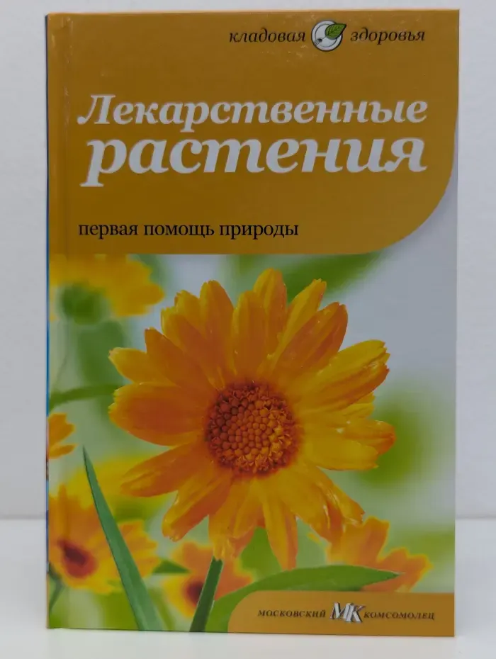 Лекарственные растения. Первая помощь природы