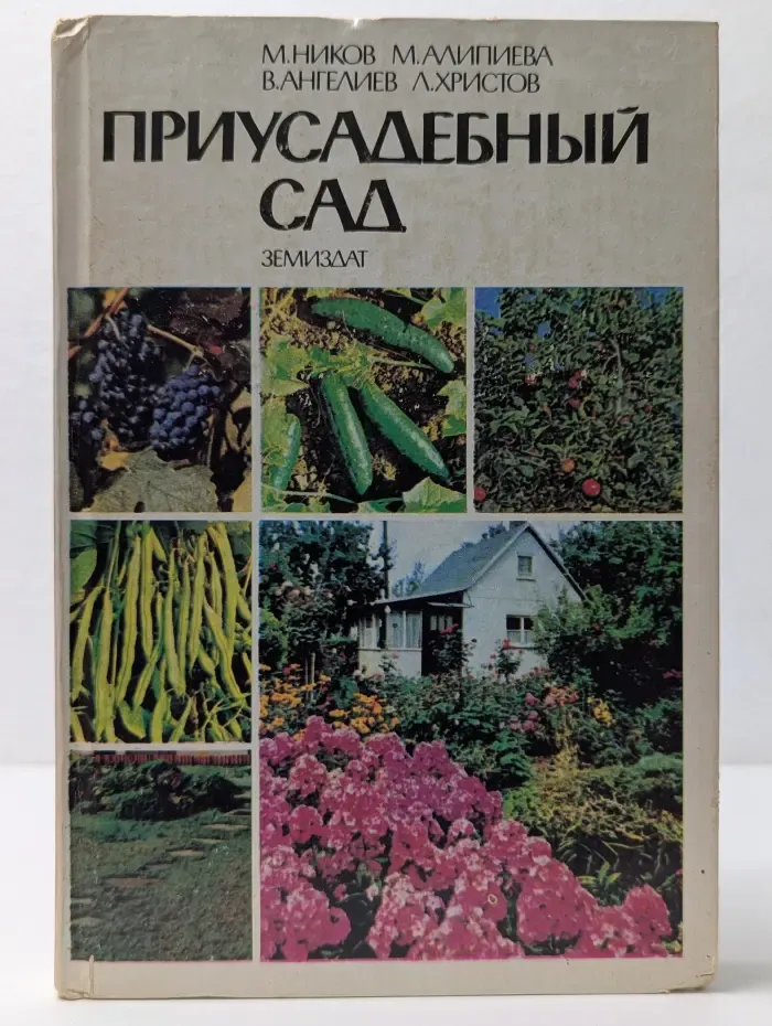 Приусадебный сад