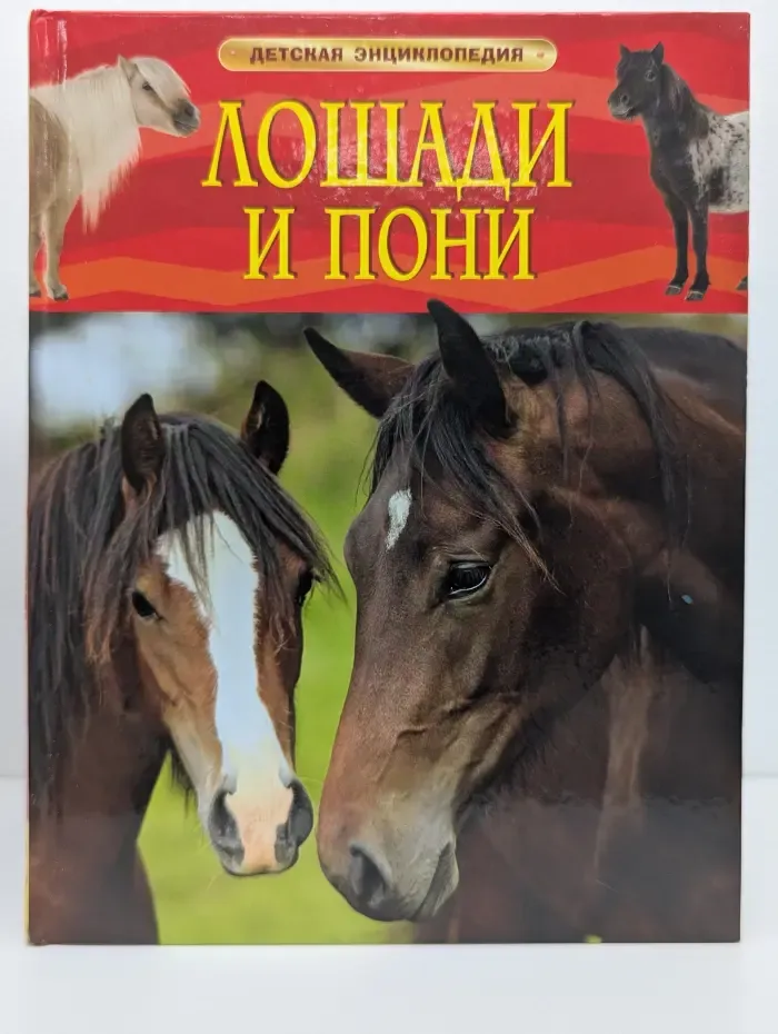 Детская энциклопедия. Лошади и пони