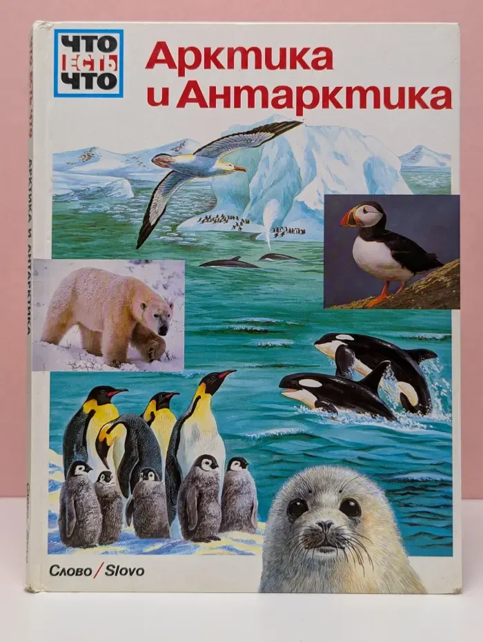 Что есть что. Арктика и Антарктика