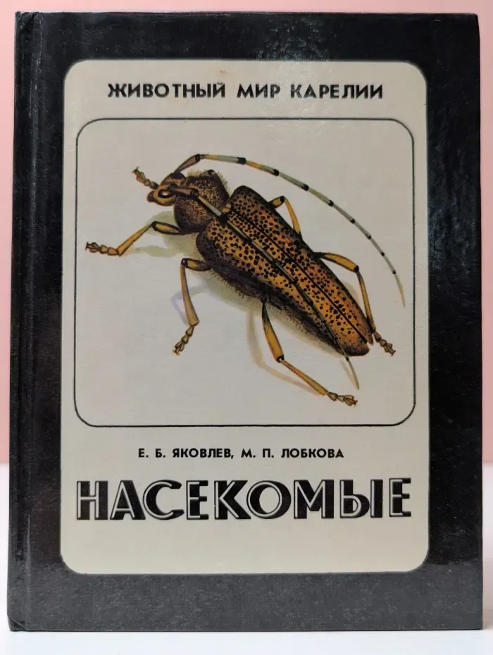 Насекомые