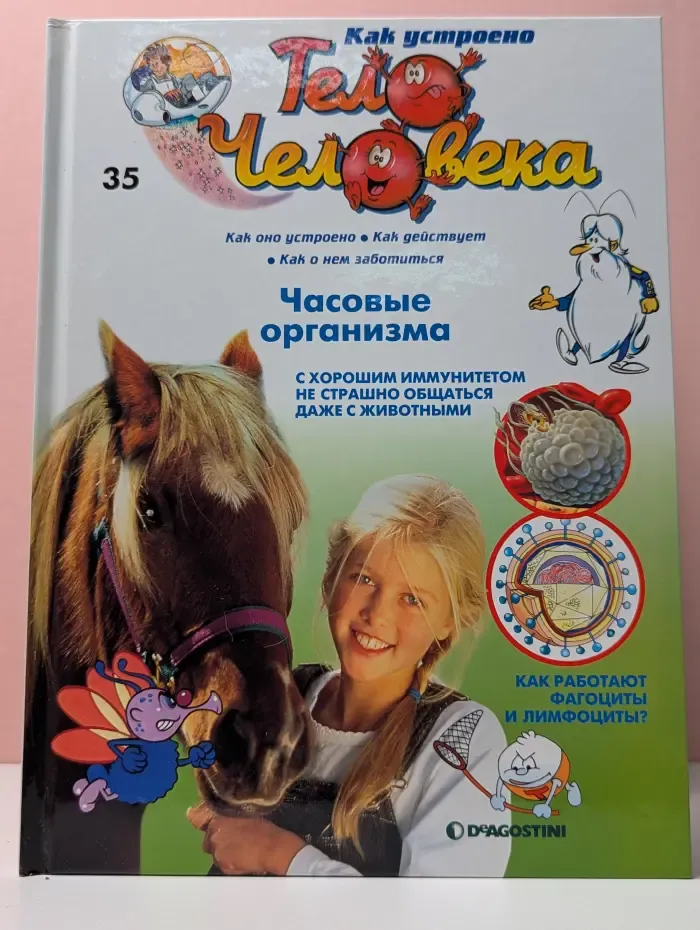 Как устроено тело человека. Выпуск 35. Часовые организма