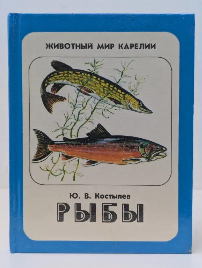 Рыбы. Животный мир Карелии