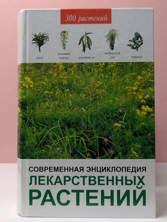 Современная энциклопедия лекарственных растений