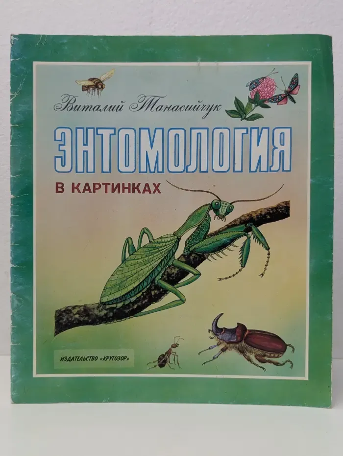 Энтомология в картинках