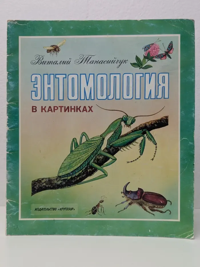 Энтомология в картинках