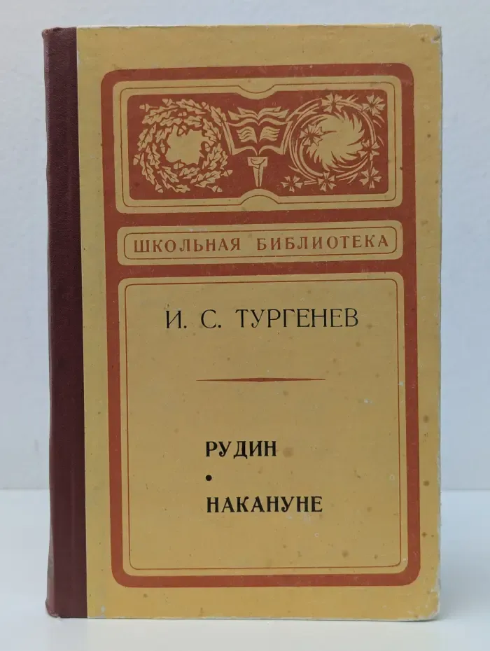 Школьная библиотека. Рудин. Накануне