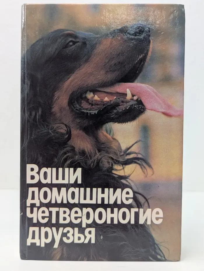 Ваши домашние четвероногие друзья