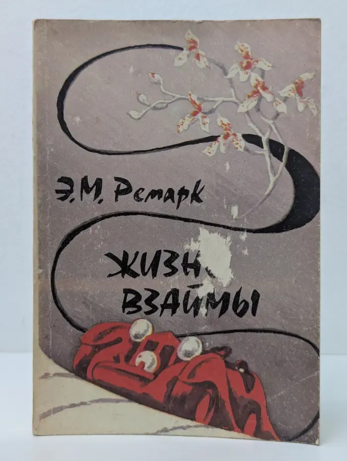 Жизнь взаймы