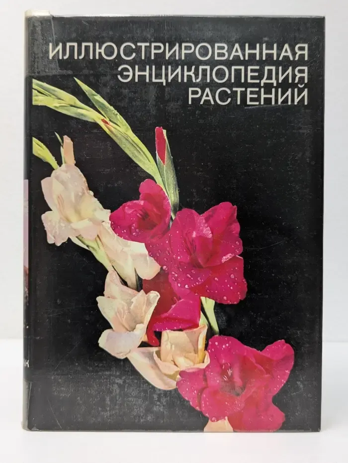 Иллюстрированная энциклопедия растений