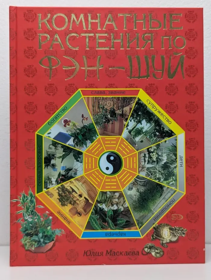 Комнатные растения по фэн-шуй