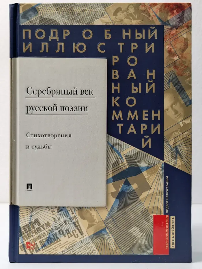 Серебряный век русской поэзии. Стихотворения и судьбы
