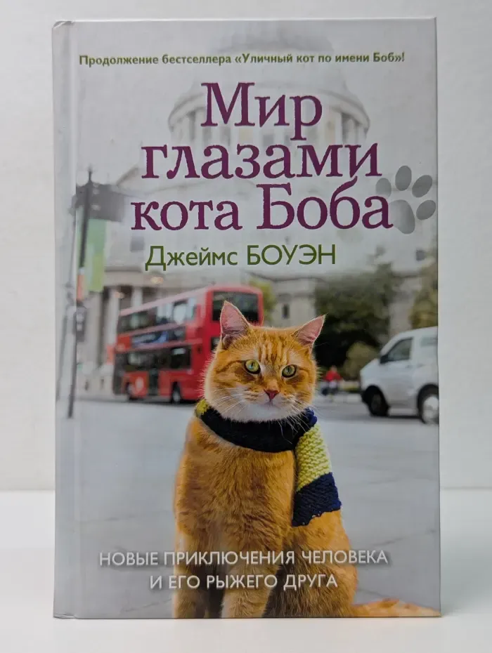 Мир глазами кота Боба