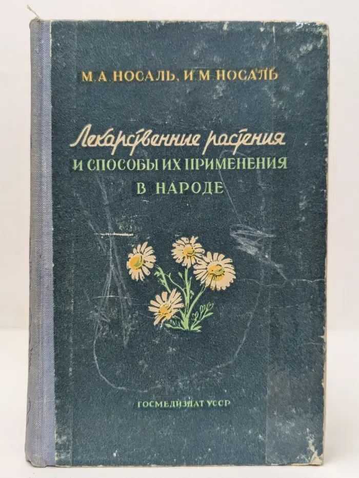 Лекарственные растения и способы их применения в народе