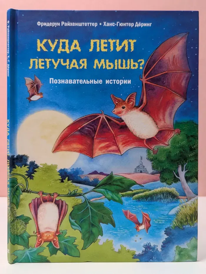 Куда летит летучая мышь? Познавательные истории