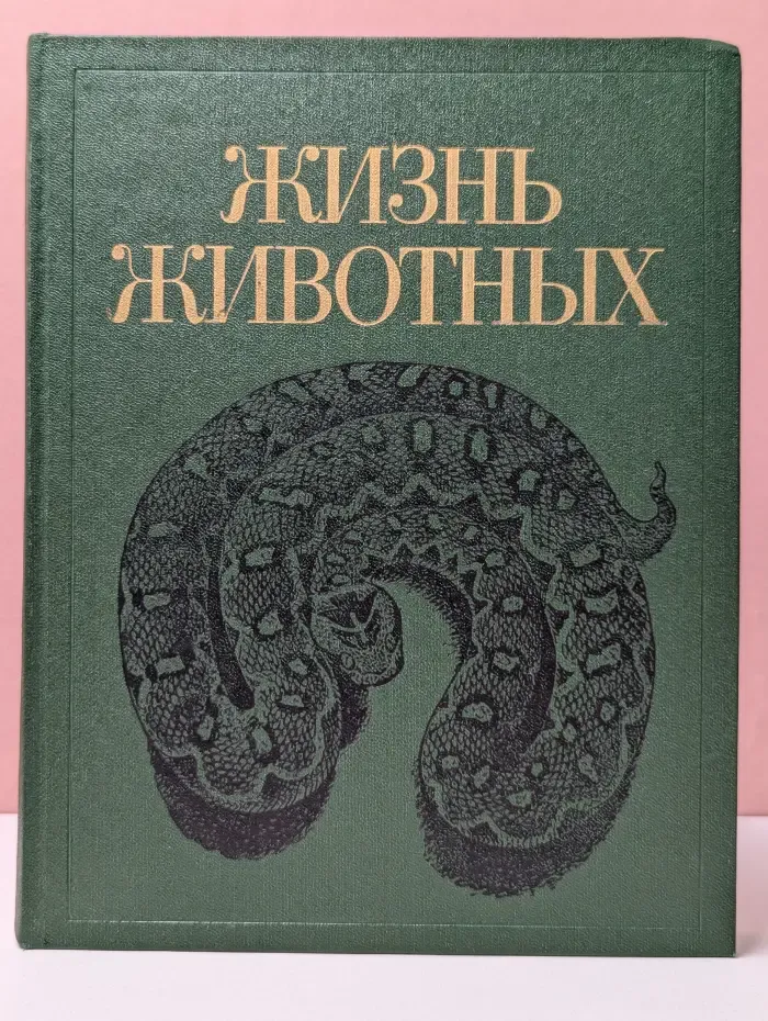 Жизнь животных. В 7 томах. Том 5. Земноводные. Пресмыкающиеся