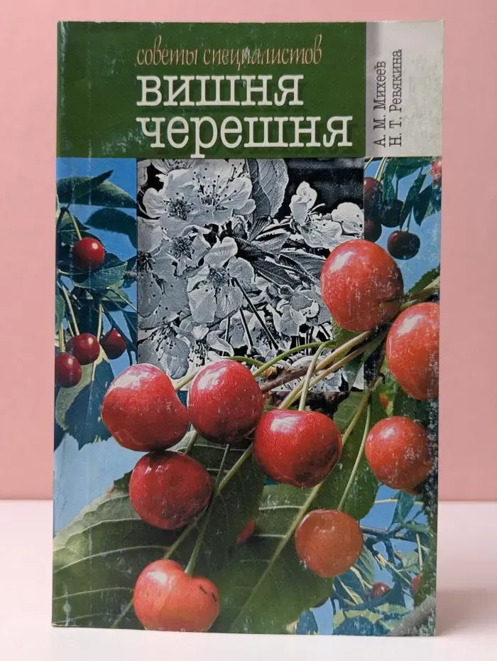 Вишня и черешня