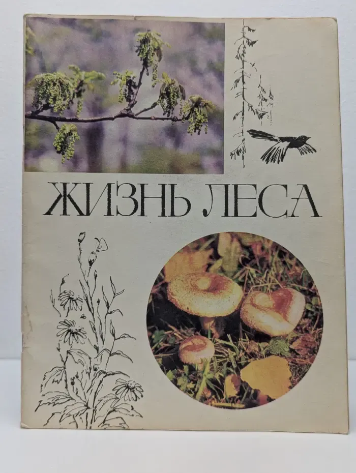 Жизнь леса